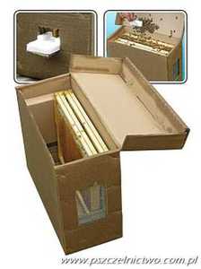 Skrzynka transportowa karton na ramki wielkopolskie Skrzynka transportowa karton na ramki wielkopolskie