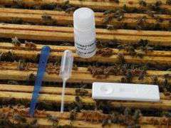 Test na zgnilca europejskiego Test na zgnilca europejskiego