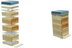 Ul DNM/Zander kompletny Ul DNM/Zander kompletny