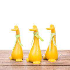 Świeca woskowa Kaczor Świeca woskowa Kaczor