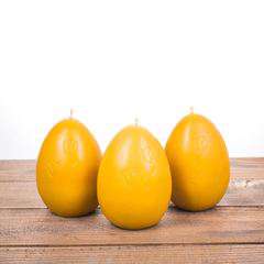 Świeca jajko z tulipanem Świeca jajko z tulipanem