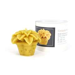 Forma Silikonowa - Gwiazda Betlejemska Forma Silikonowa - Gwiazda Betlejemska