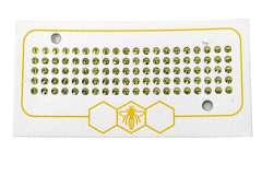 Opalitki polskie - żółte Opalitki polskie - żółte