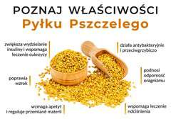 Tablica informacyjna mała Właściwości Pyłku Tablica informacyjna mała Właściwości Pyłku