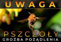 Tablica ostrzegawcza mała Pszczoła z tyłu Tablica ostrzegawcza mała Pszczoła z tyłu