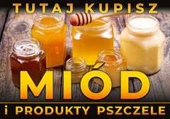 Tablica informacyjna mała Słoiczki z miodem i nabierak Tablica informacyjna mała Słoiczki z miodem i nabierak