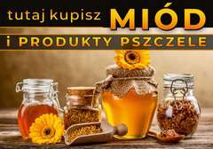 Tablica informacyjna duża Kwiatki i słoiczki z miodem i pyłkiem Tablica informacyjna duża Kwiatki i słoiczki z miodem i pyłkiem