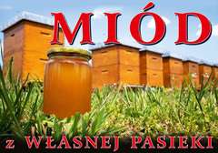 Tablica informacyjna duża Słoik miodu na tle uli Tablica informacyjna duża Słoik miodu na tle uli