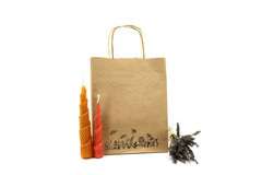 Torba papierowa mała ŁĄKA pakiet 10szt Torba papierowa mała ŁĄKA pakiet 10szt