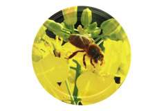 Nakrętka fi82 pszczoła na rzepaku - 50 szt Nakrętka fi82 pszczoła na rzepaku - 50 szt