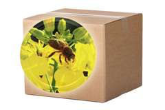 Nakrętka fi82 pszczoła na rzepaku karton 750szt Nakrętka fi82 pszczoła na rzepaku karton 750szt