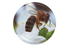 Nakrętka metalowa mała FI66/4 pszczoła na kwiecie jabłoni 50 szt 