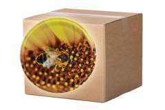 Nakrętka FI66 żółto-brązowa karton Nakrętka FI66 żółto-brązowa karton