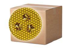 Nakrętka fi 82/6 Trzy pszczółki karton 750 szt. Nakrętka fi 82/6 Trzy pszczółki karton 750 szt.