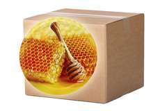 Nakrętka mała plaster z pałeczką fi 66mm Karton Nakrętka mała plaster z pałeczką fi 66mm Karton