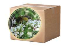 Nakrętka fi82/6 Pszczoła na gryce - karton 750 szt Nakrętka fi82/6 Pszczoła na gryce - karton 750 szt