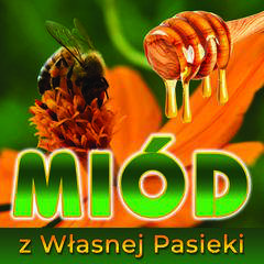 Baner reklamowy zielony z pszczołą 1x1m Baner reklamowy zielony z pszczołą 1x1m