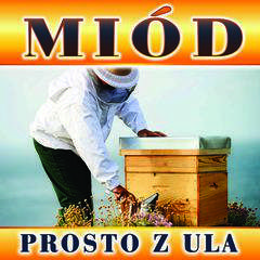 Baner reklamowy z pszczelarzem i ulem 1x1m Baner reklamowy z pszczelarzem i ulem 1x1m