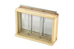 Rojołapka mała DE Rojołapka mała DE