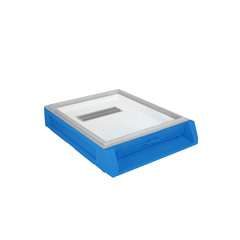 Dennica wielkopolska 12-ramkowa, Dadanta i Langstrotha Dennica wielkopolska 12-ramkowa, Dadanta i Langstrotha