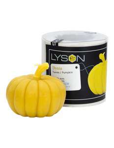 Forma silikonowa - Dynia Forma silikonowa - Dynia