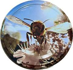 Nakrętki FI82/6 pszczoła z przodu opakowanie 50szt Nakrętki FI82/6 pszczoła z przodu opakowanie 50szt