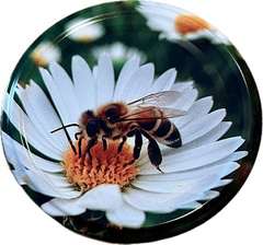 Nakrętka FI82/6 pszczoła na margaretce KARTON 750szt Nakrętka FI82/6 pszczoła na margaretce KARTON 750szt