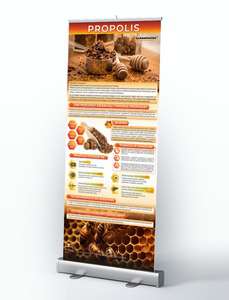 Roll-up edukacyjny 85x200cm PROPOLIS Roll-up edukacyjny 85x200cm PROPOLIS