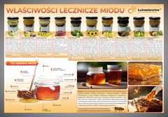 Tablica edukacyjna 60x42cm- WŁAŚCIWOŚCI LECZNICZE MIODU Tablica edukacyjna 60x42cm- WŁAŚCIWOŚCI LECZNICZE MIODU