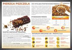 Tablica edukacyjna 60x42cm -PIERZGA PSZCZELA Tablica edukacyjna 60x42cm -PIERZGA PSZCZELA