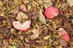 Herbata biała Lady Di 50g Herbata biała Lady Di 50g