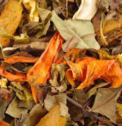 Herbata biała AMBER FAME 50g Herbata biała AMBER FAME 50g