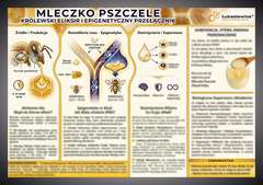 Tablica edukacyjna 60x42cm- MLECZKO PSZCZELE Tablica edukacyjna 60x42cm- MLECZKO PSZCZELE