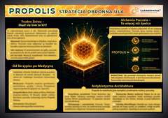 Tablica edukacyjna 60x42cm- PROPOLIS (KIT PSZCZELI) Tablica edukacyjna 60x42cm- PROPOLIS (KIT PSZCZELI)