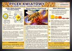 Tablica edukacyjna 60x42cm- PYŁEK KWIATOWY Tablica edukacyjna 60x42cm- PYŁEK KWIATOWY