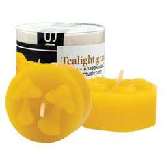 Forma silikonowa TEALIGHT GRZYBKI Forma silikonowa TEALIGHT GRZYBKI