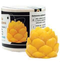 Forma silikonowa SZYSZKA CHMIELOWA Forma silikonowa SZYSZKA CHMIELOWA