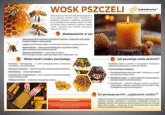 Tablica edukacyjna 60x42cm WOSK PSZCZELI Tablica edukacyjna 60x42cm WOSK PSZCZELI