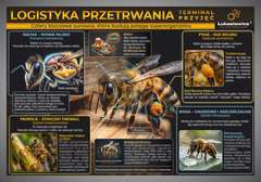 Tablica edukacyjna 60x42cm- LOGISTYKA PRZETRWANIA- TERMINAL PRZYJĘĆ Tablica edukacyjna 60x42cm- LOGISTYKA PRZETRWANIA- TERMINAL PRZYJĘĆ