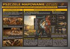 Tablica edukacyjna 60x42cm PSZCZELE MAPOWANIE - TANECZNY JĘZYK DANYCH Tablica edukacyjna 60x42cm PSZCZELE MAPOWANIE - TANECZNY JĘZYK DANYCH