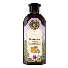 SZAMPON PROPOLIS I ŁOPIAN DO WŁOSÓW ZE SKŁONNOSCIĄ DO WYPADANIA 350ML SZAMPON PROPOLIS I ŁOPIAN DO WŁOSÓW ZE SKŁONNOSCIĄ DO WYPADANIA 350ML